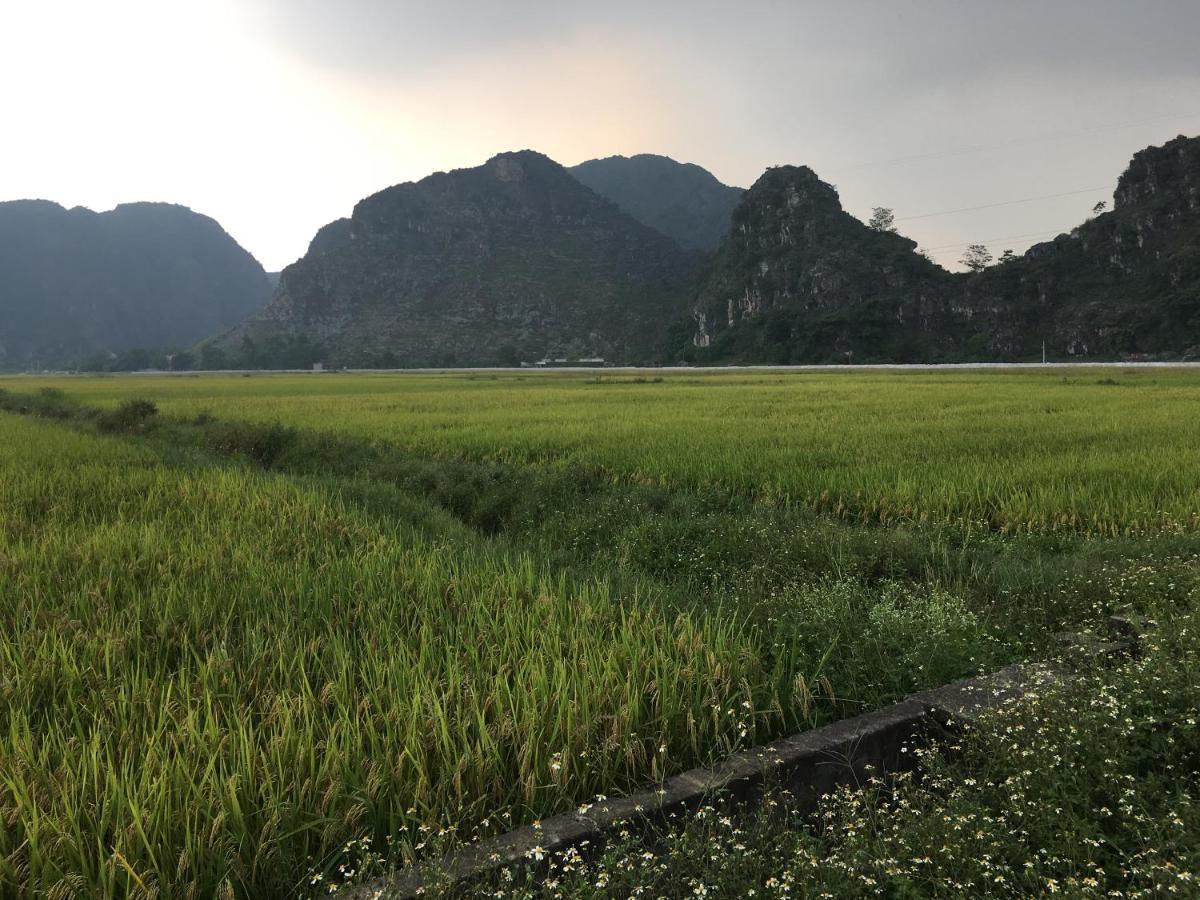 宁平石灰岩景观民宿公寓 外观 照片