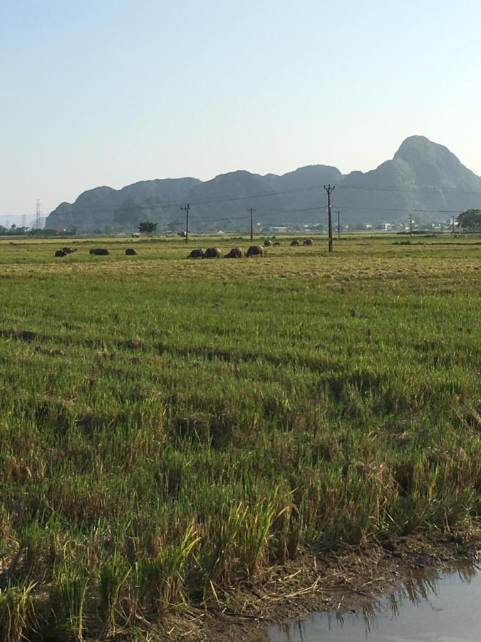 宁平石灰岩景观民宿公寓 外观 照片